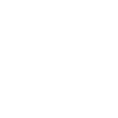 Financial & Shareholder Documentation